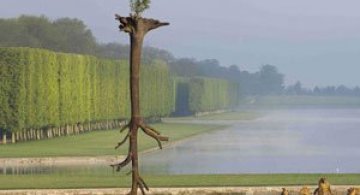 Sculpturi-copaci, in gradina de la Versailles