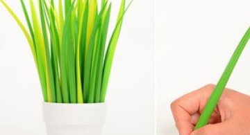 Ghiveciul cu pixuri de la Zeup