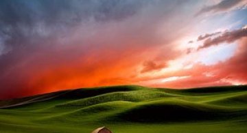 Peisaje rurale superbe, de Lisa Wood