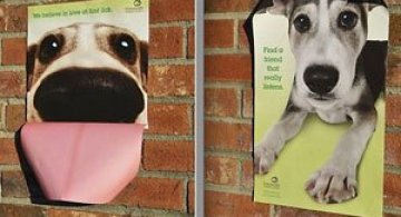 Adopta un animal: cele mai bune reclame