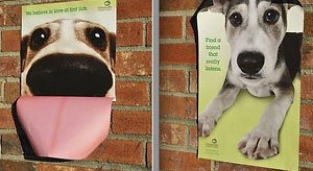 Adopta un animal: cele mai bune reclame