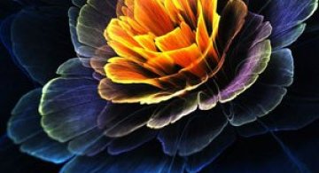 Flori luminoase, de Tatiana Kondratova