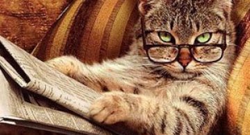 Caini si pisici la ora de lectura