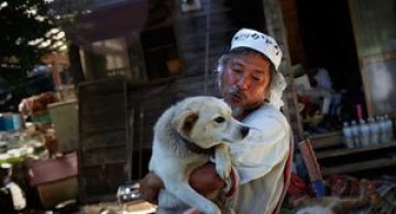 A salvat 500 de animale din ruinele de la Fukushima
