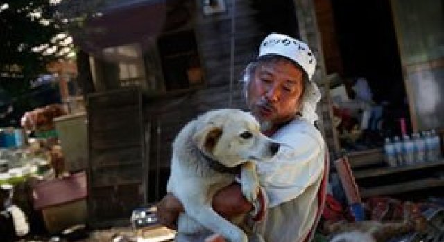 A salvat 500 de animale din ruinele de la Fukushima