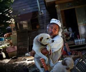 A salvat 500 de animale din ruinele de la Fukushima