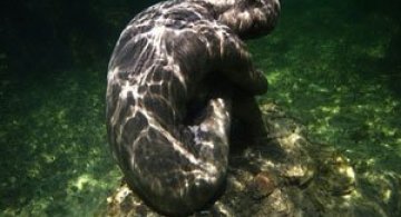 Statui subacvatice, de Jason deCaires Taylor