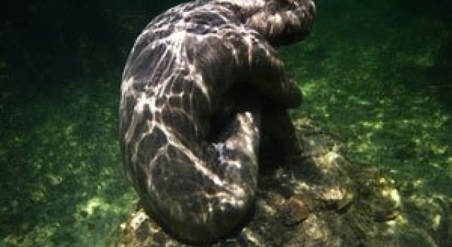 Statui subacvatice, de Jason deCaires Taylor