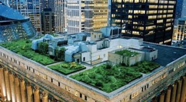 Gradina suspendata de pe Primaria din Chicago