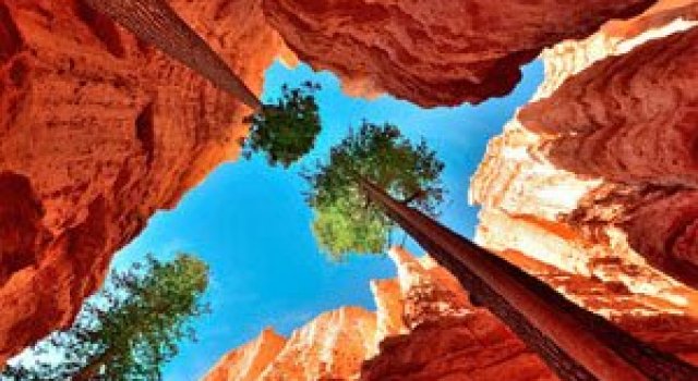 Ce lume frumoasa! Lonely Planet’s Beautiful World
