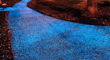 Aleea de stele de la Cambridge