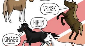 Cum suna animalele in diferite limbi?