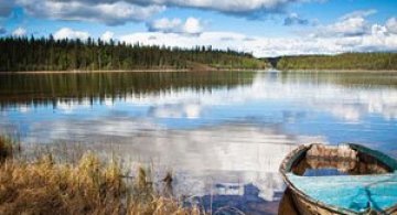 Frumusetea tinuturilor sub-arctice, cu Dave Brosha