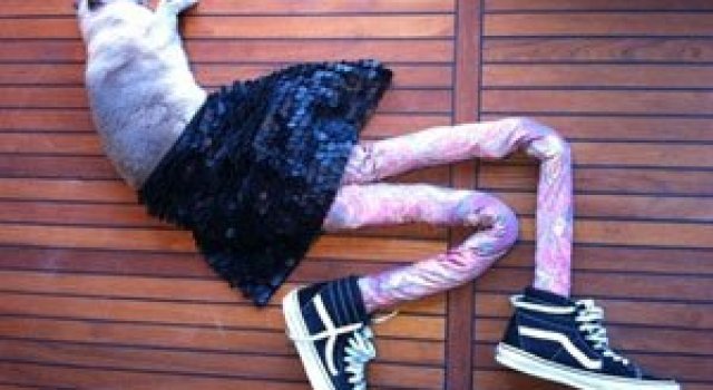 Gucci, pisica in colanti!