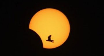 3 noiembrie: Eclipsa hibrid de luna