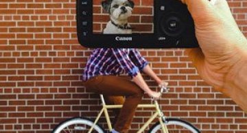 Corp uman, cap de animal, de Zach Rose