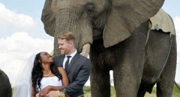 Nunta-safari, calare pe elefanti