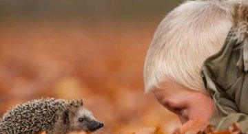 Vietatile padurii, fotografiate de Edwin Kats