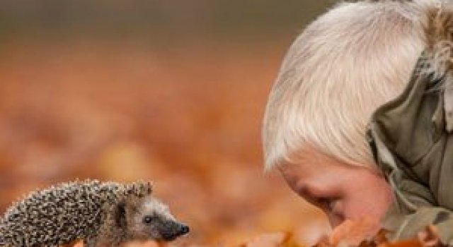 Vietatile padurii, fotografiate de Edwin Kats