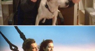 Un catel, star in filme celebre de dragoste