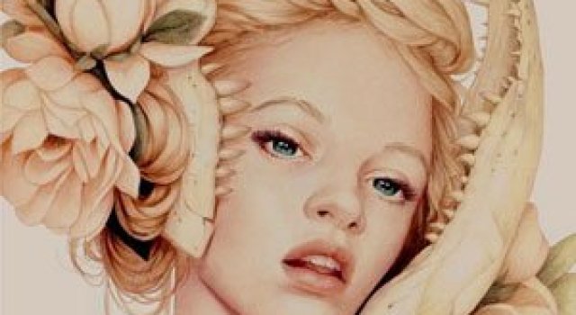 Superbe portrete ilustrate, de Jennifer Healy