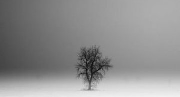 Peisaje alb-negru si melancolie, de Derek Toye