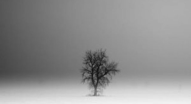 Peisaje alb-negru si melancolie, de Derek Toye