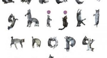 Alfabetul din pisici, de la NekoFont