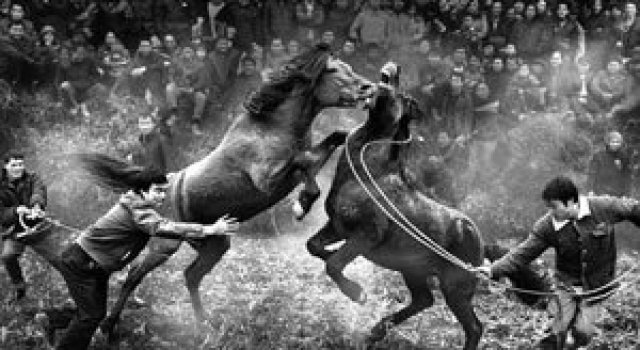 Fotografii impresionante, nominalizate la Sony World Photography Awards
