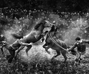 Fotografii impresionante, nominalizate la Sony World Photography Award