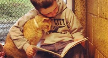 Copiii le citesc pisicilor fara adapost