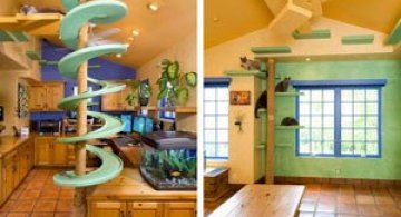 Loc de joaca pentru pisici, de $35.000