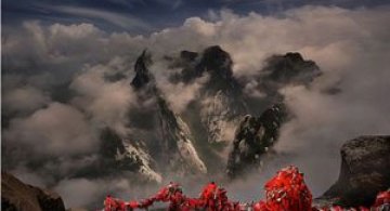 Peisajele de calatorie ale fotografului pensionar