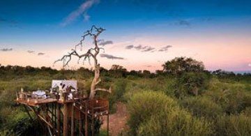 Safari sub cerul liber, intr-o statiune luxoasa din Africa de Sud