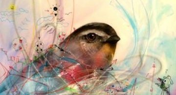 Graffiti minunate cu pasari, de L7m