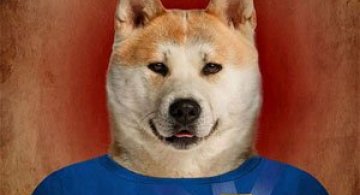 Cainii tarilor de la Cupa Mondiala de Fotbal 2014