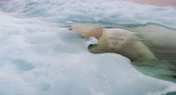 Superbele peisaje inghetate ale lui Paul Souders