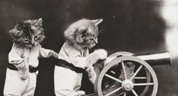 Poze cu pisici si catei de-acum un secol