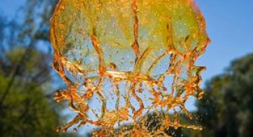 Splashuri de culoare, de Jack Long