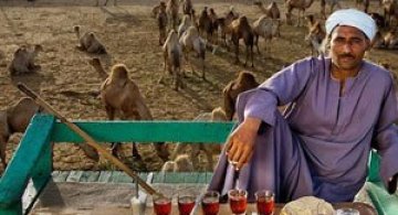 In jurul lumii in 80 de diete cu Peter Menzel