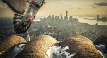 10 fotografii incredibile din New York