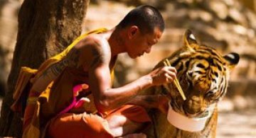 15 fotografii care au schimbat istoria