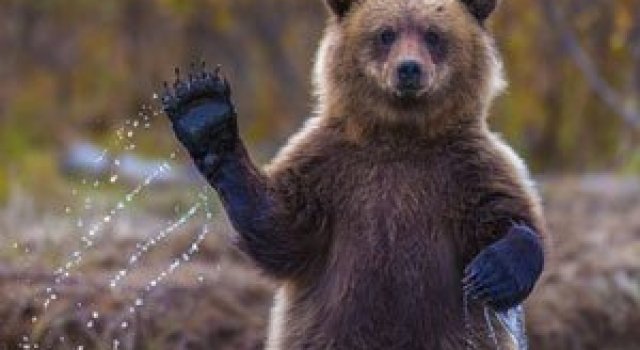 Cele mai bune inscrieri la concursul National Geographic Travel 2014
