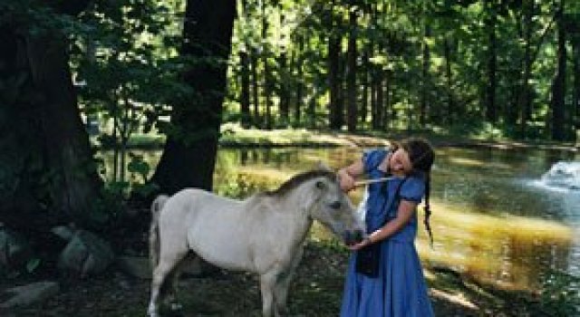 Lumea Ameliei: Adolescenta si animalele, de Robin Schwartz