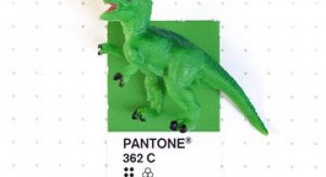 Perechi de culori Pantone si obiecte mici