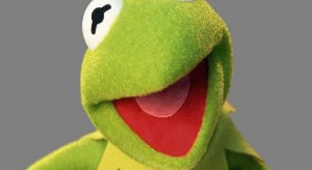 Broasca Kermit, din "The Muppets Show", exista in realitate!