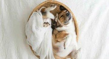 Adorabil! O altfel de sedinta foto cu un nou-nascut