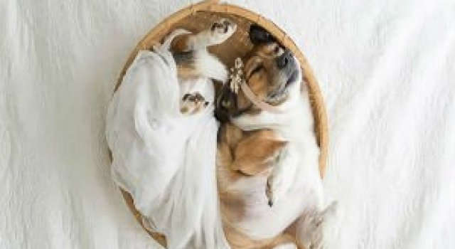 Adorabil! O altfel de sedinta foto cu un nou-nascut