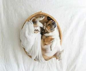Adorabil! O altfel de sedinta foto cu un nou-nascut