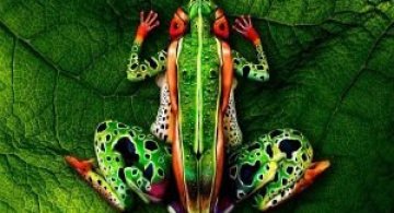 Tablouri vii: 11 Picturi pe corpul uman care te induc in eroare